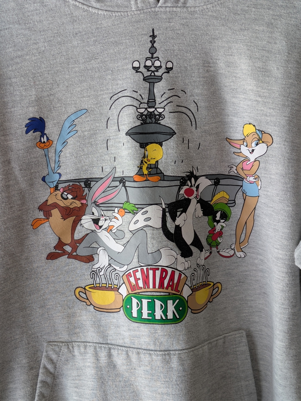 Warner Bros. Grey Central Perk Looney Tunes Graphic Hoodie Sz S